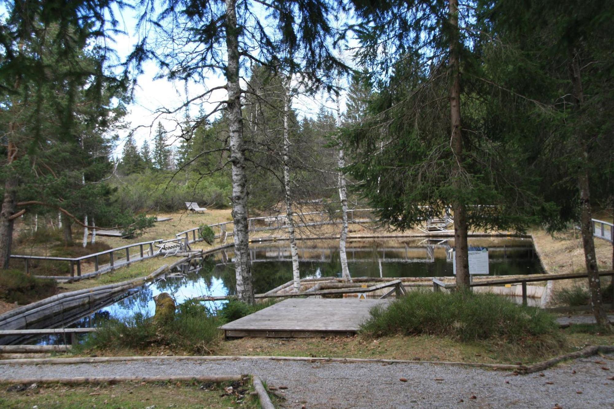 Ferienwohnung Bachmann Oberjoch Exterior photo